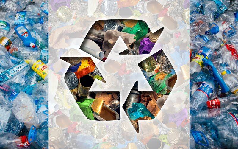 Calgary Bottle Depot Guide: Boost Recycling Earn Cash Fish